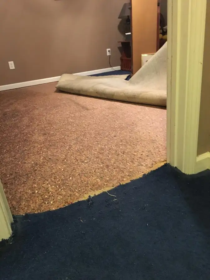 Carpet pad removal revealing water damage during Drying & Dehumidification in Ware