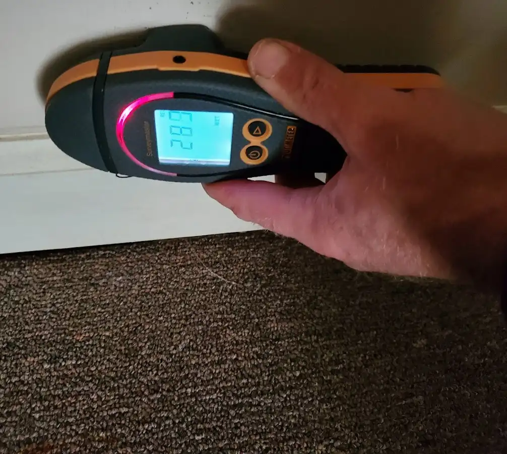 Moisture detection at baseboard during Sewage Cleanup & Sanitation in Ware